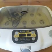 buy parrot egg incubator online