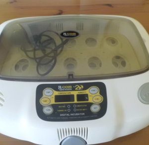 buy parrot egg incubator online