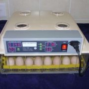 48 egg incubator