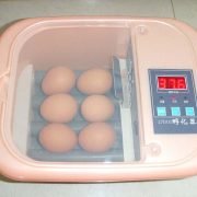 6 egg incubator